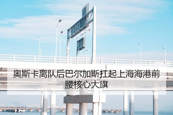 奥斯卡离队后巴尔加斯扛起上海海港前腰核心大旗